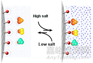 利用疏水相互作用色譜(HIC)分析抗體偶聯(lián)藥物(ADC)