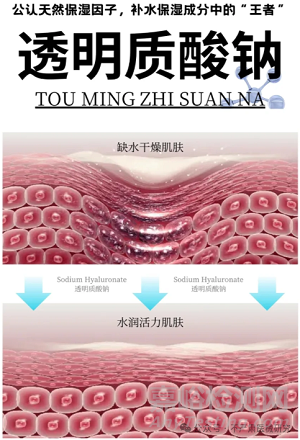 醫(yī)療器械體外透皮吸收測(cè)試方法與標(biāo)準(zhǔn)