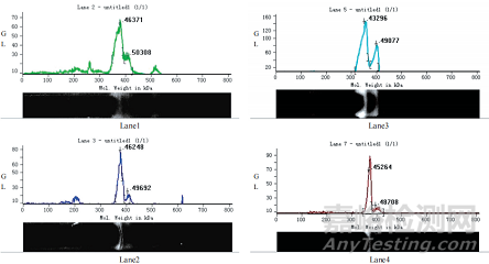優(yōu)化明膠空心膠囊崩解時限與藥物溶出專用明膠的研究