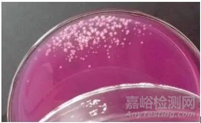 GB 4789.15 霉菌和酵母計(jì)數(shù) 霉菌培養(yǎng)容易污染，實(shí)驗(yàn)室該如何解決？