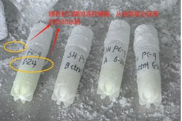 細(xì)胞凍存管需要纏封口膜嗎？