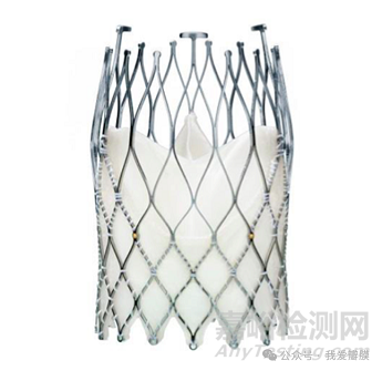 藍(lán)帆醫(yī)療Imperia輸送系統(tǒng)獲批CE, 第二代可回收瓣膜Allegra正式登陸