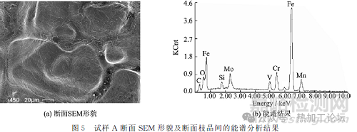 模具鋼電渣錠底部裂紋失效分析