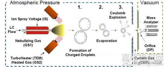 液相質(zhì)譜LC-MS/MS的方法開發(fā)---建立質(zhì)譜條件