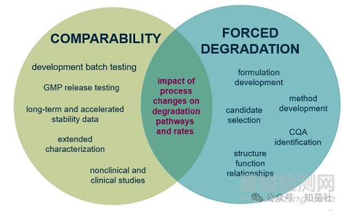生物制藥強制降解研究在可比性評估中的應用行業(yè)視角
