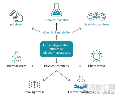 生物制藥強制降解研究在可比性評估中的應用行業(yè)視角