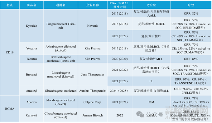 CAR-T細胞治療藥物的生產(chǎn)制備和表征