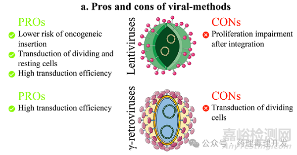 CAR-T細胞治療藥物的生產(chǎn)制備和表征