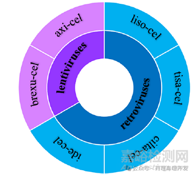 CAR-T細胞治療藥物的生產(chǎn)制備和表征