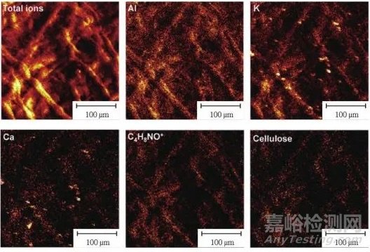 紙質(zhì)文物的無(wú)損和微損分析技術(shù)及應(yīng)用評(píng)價(jià)