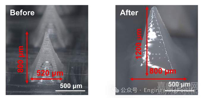 如何表征水凝膠微針的吸水能力？
