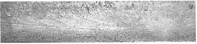 金屬材料斷裂類型與防控分析策略