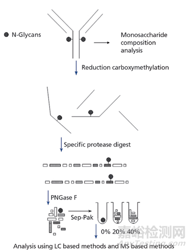 生物藥工藝表征分析方法建立