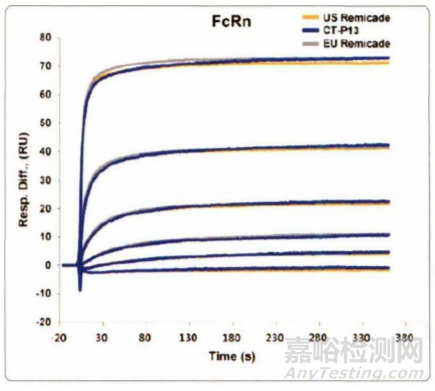 生物藥工藝表征分析方法建立