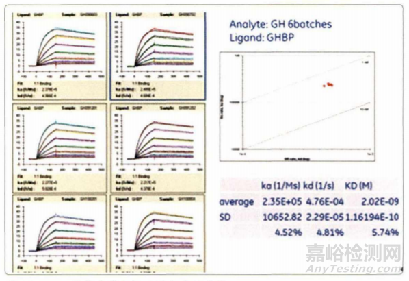 生物藥工藝表征分析方法建立