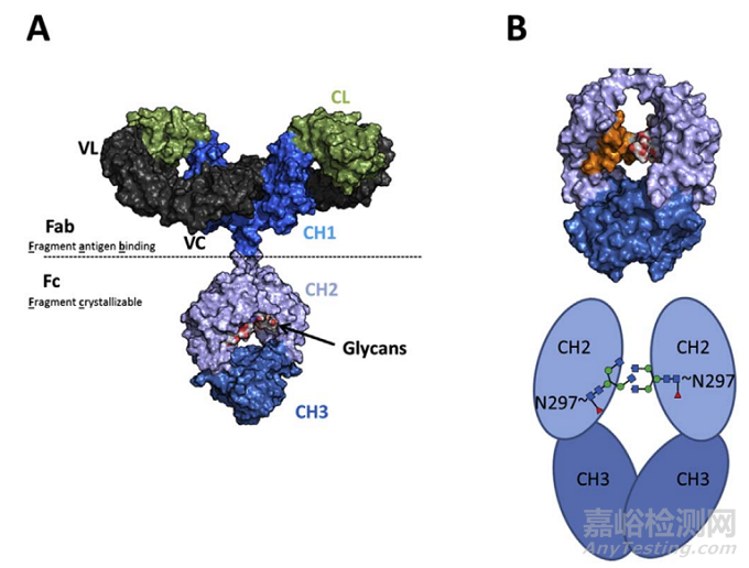 抗體藥物全面表征之理化屬性分析