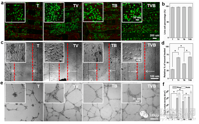 如何表征水凝膠的促血管生成能力？