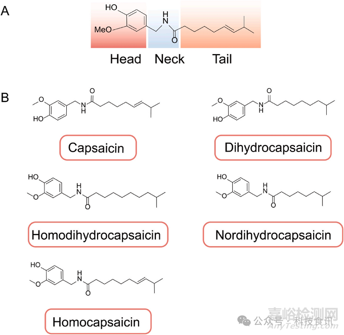 火鍋底料辣、麻、鮮、香的化學解析