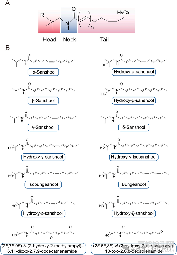 火鍋底料辣、麻、鮮、香的化學解析