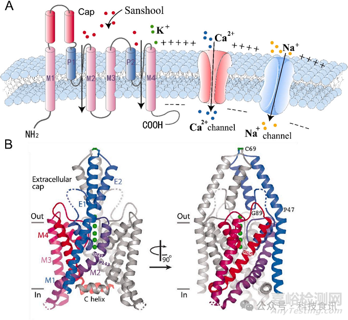 火鍋底料辣、麻、鮮、香的化學解析