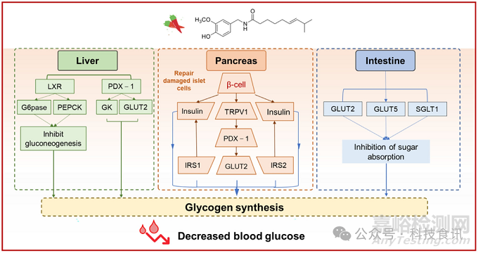 辣椒素的制備、辣味及生物活性研究進(jìn)展