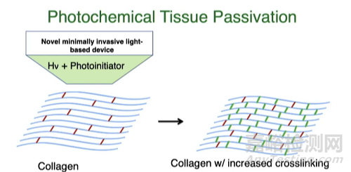 PTP：光引發(fā)交聯(lián)劑，讓靜脈動(dòng)脈化