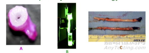 PTP：光引發(fā)交聯(lián)劑，讓靜脈動(dòng)脈化
