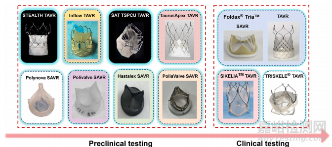 以心醫(yī)療創(chuàng)新醫(yī)械經(jīng)導(dǎo)管主動脈瓣系統(tǒng)技術(shù)解析