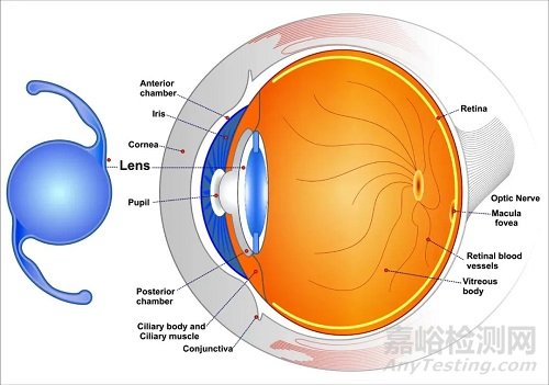 全球人工晶體技術(shù)產(chǎn)品與市場分析
