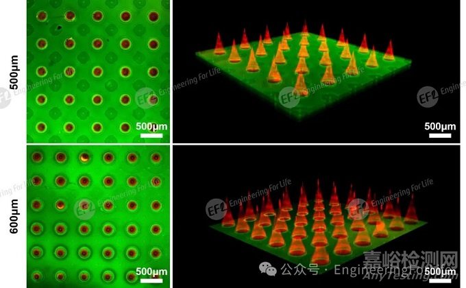 水凝膠微針制備指南