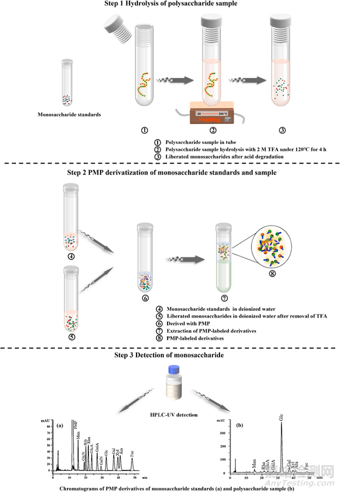 多糖單糖組成測(cè)定方法