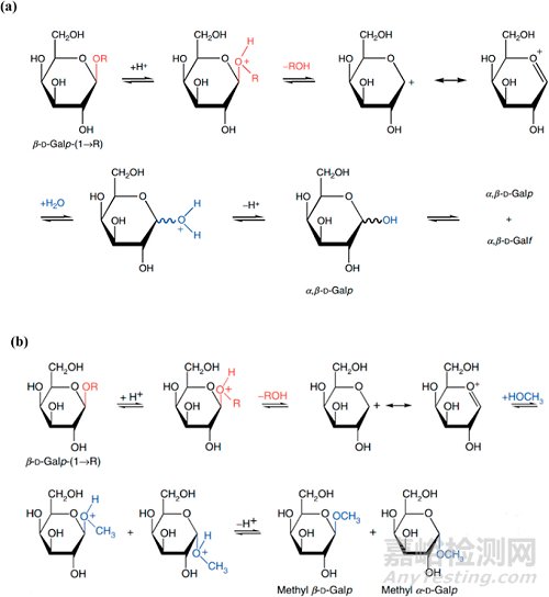 多糖單糖組成測(cè)定方法
