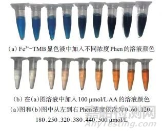 雙探針比色法選擇性檢測堿性磷酸酶活力