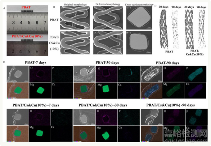 可降解鎂合金心血管支架最新技術(shù)發(fā)展