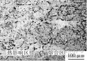 AZ31B鎂合金CMT Cycle Step焊接接頭組織和性能研究