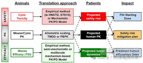 支持抗體-藥物偶聯(lián)物開發(fā)的PK/PD轉(zhuǎn)化框架
