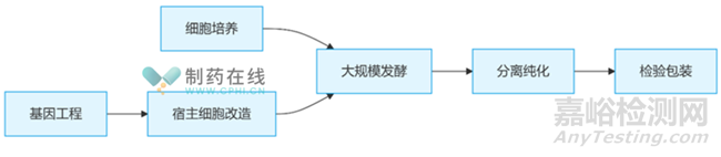 GMP體系下確保生物制藥制劑無菌生產(chǎn)的具體措施