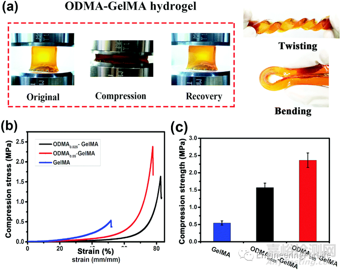 水凝膠力學(xué)性能相關(guān)測(cè)試方法