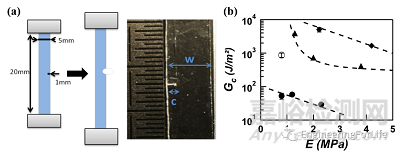水凝膠力學(xué)性能相關(guān)測(cè)試方法