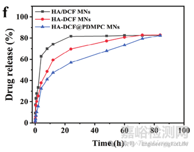 如何表征水凝膠微針的藥物釋放行為？