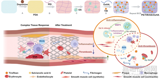 一種用以調(diào)節(jié)凝血-炎癥相互作用的微環(huán)境響應(yīng)血管支架涂層新策略