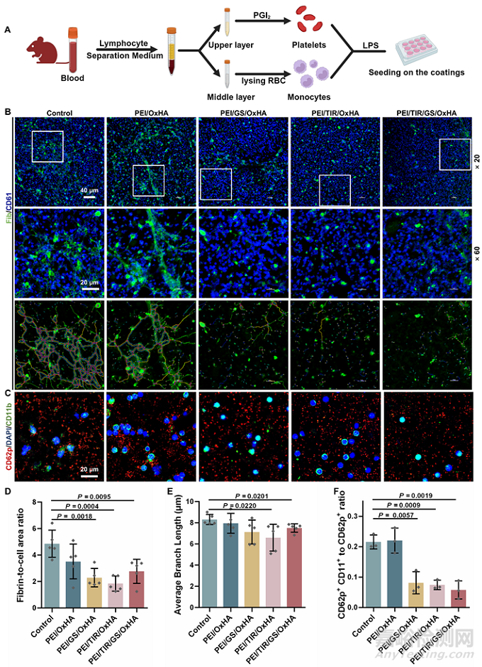 一種用以調(diào)節(jié)凝血-炎癥相互作用的微環(huán)境響應(yīng)血管支架涂層新策略