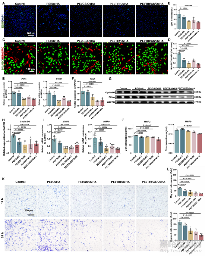 一種用以調(diào)節(jié)凝血-炎癥相互作用的微環(huán)境響應(yīng)血管支架涂層新策略