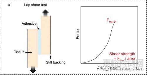 如何表征水凝膠的粘附性能