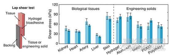 如何表征水凝膠的粘附性能