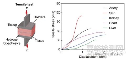 如何表征水凝膠的粘附性能