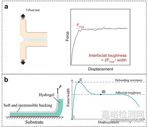 如何表征水凝膠的粘附性能