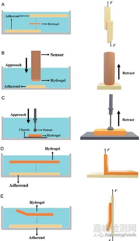 如何表征水凝膠的粘附性能