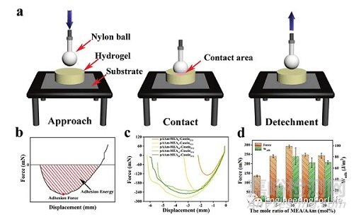 如何表征水凝膠的粘附性能