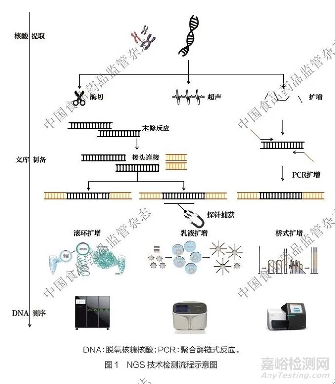 《二代基因測序相關(guān)體外診斷試劑分類界定指導(dǎo)原則》探討